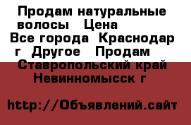 Продам натуральные волосы › Цена ­ 3 000 - Все города, Краснодар г. Другое » Продам   . Ставропольский край,Невинномысск г.